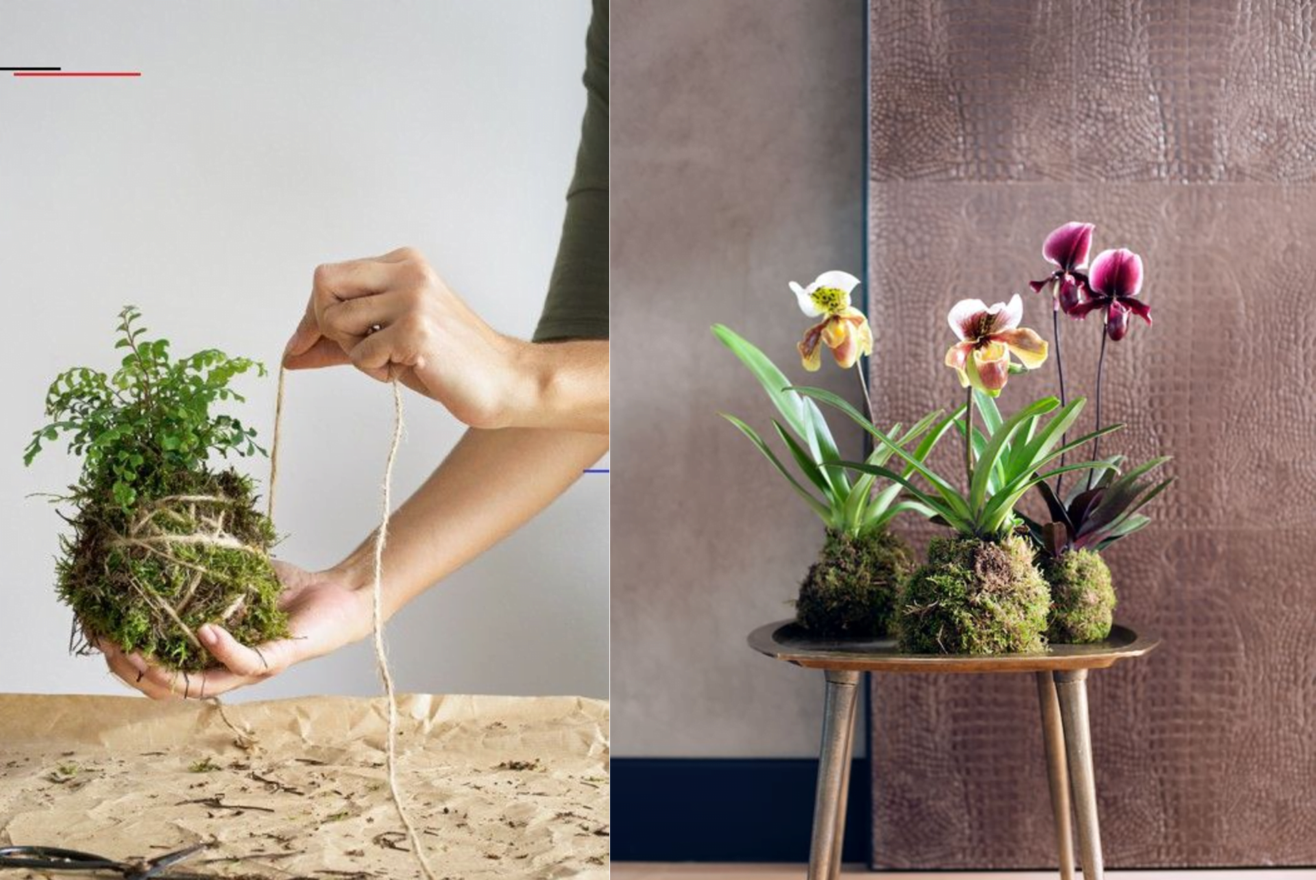 kokedama giapponesi come realizzarli e kokedama fai da te