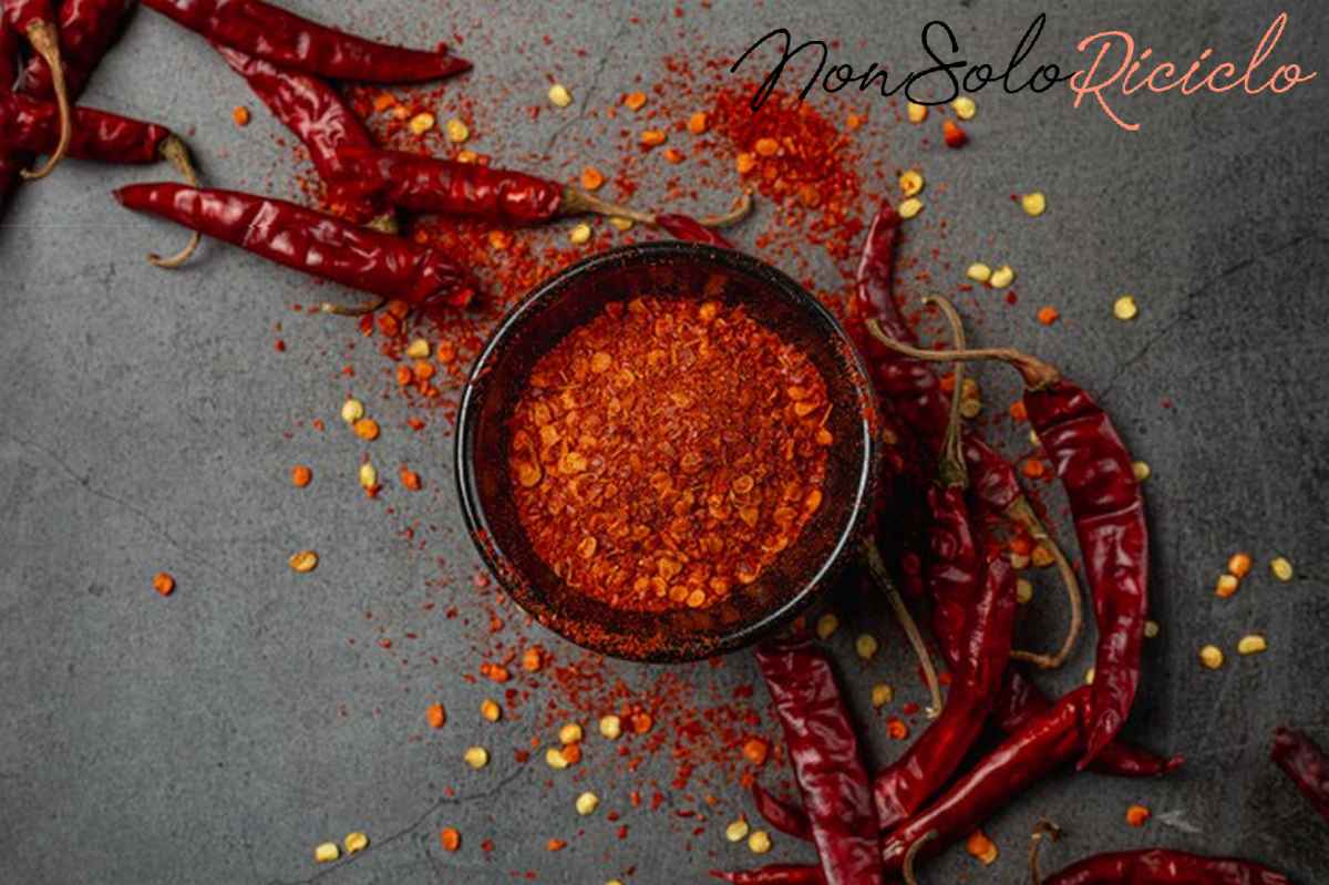 peperoncino piccante elisir di lunga red chilli paste black 1150 25548