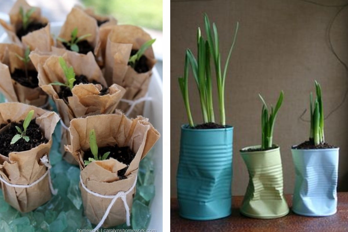 seminare le piantine con oggetti piantine contenitori di riciclo