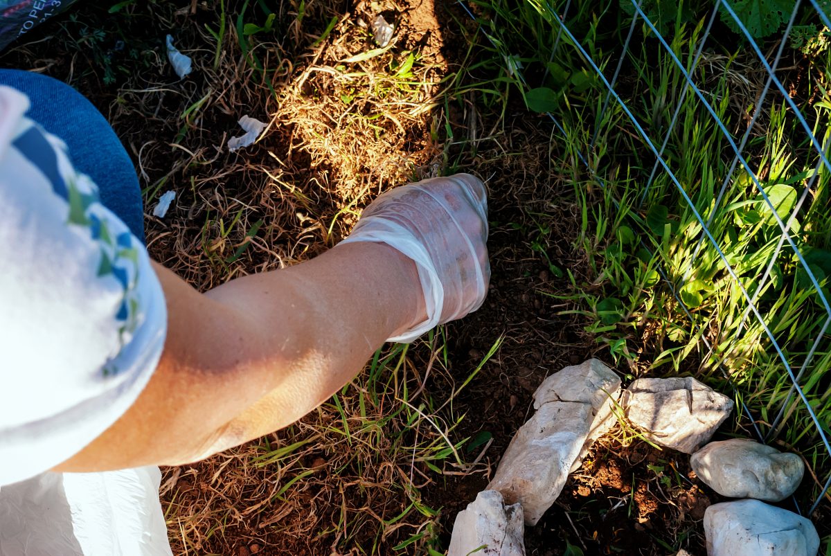 basta diserbanti chimici questa soluzione AdobeStock 144618731