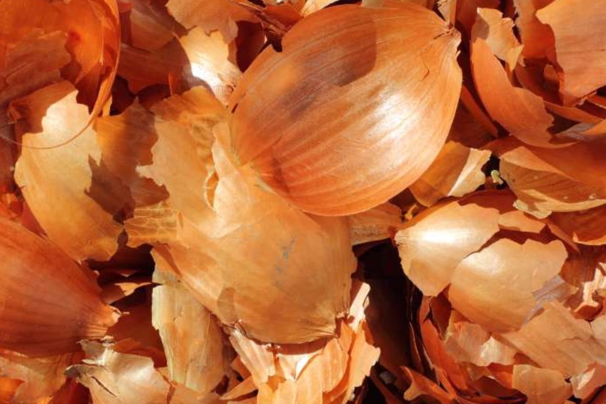 bucce di cipolla non buttarle bucce di cipolla