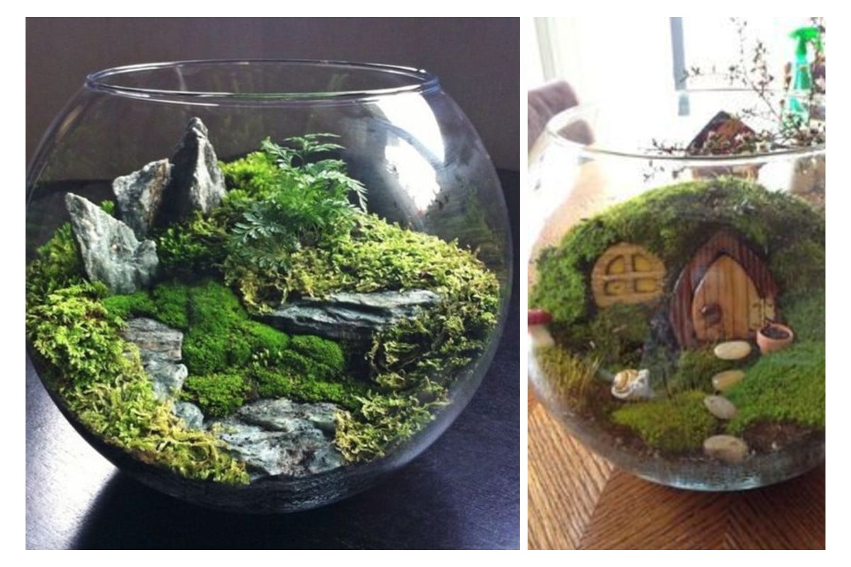 come realizzare giardino in miniatura giardini in miniatura