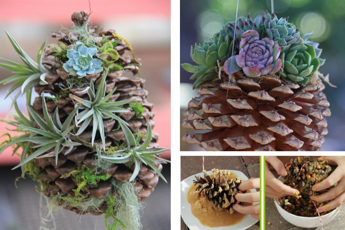 fioriera realizzata con una pigna fioriera pigna