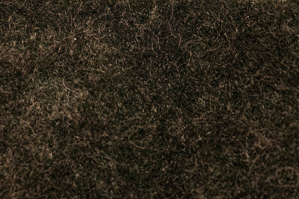 lana nera infeltrita il trucco AdobeStock 322422735