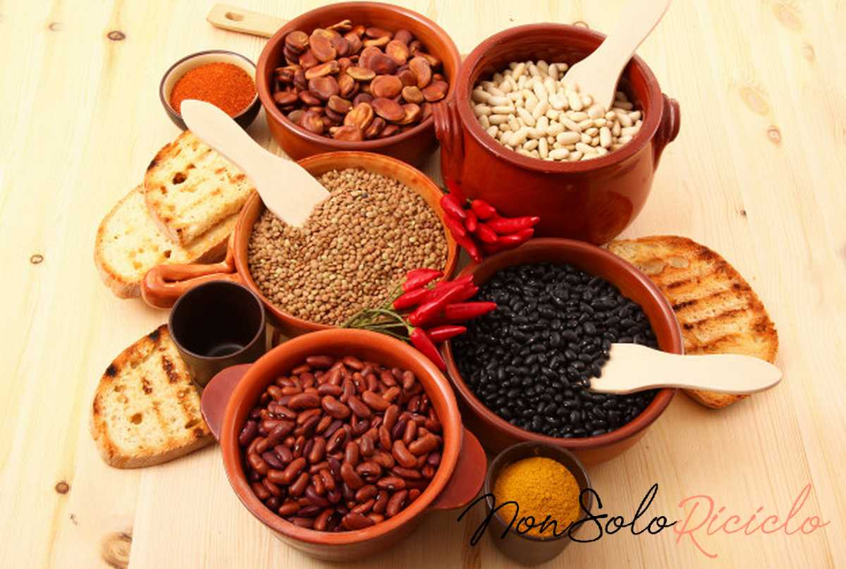 legumi biologici cosa li distingue dry legumes rustic dish 100488 560