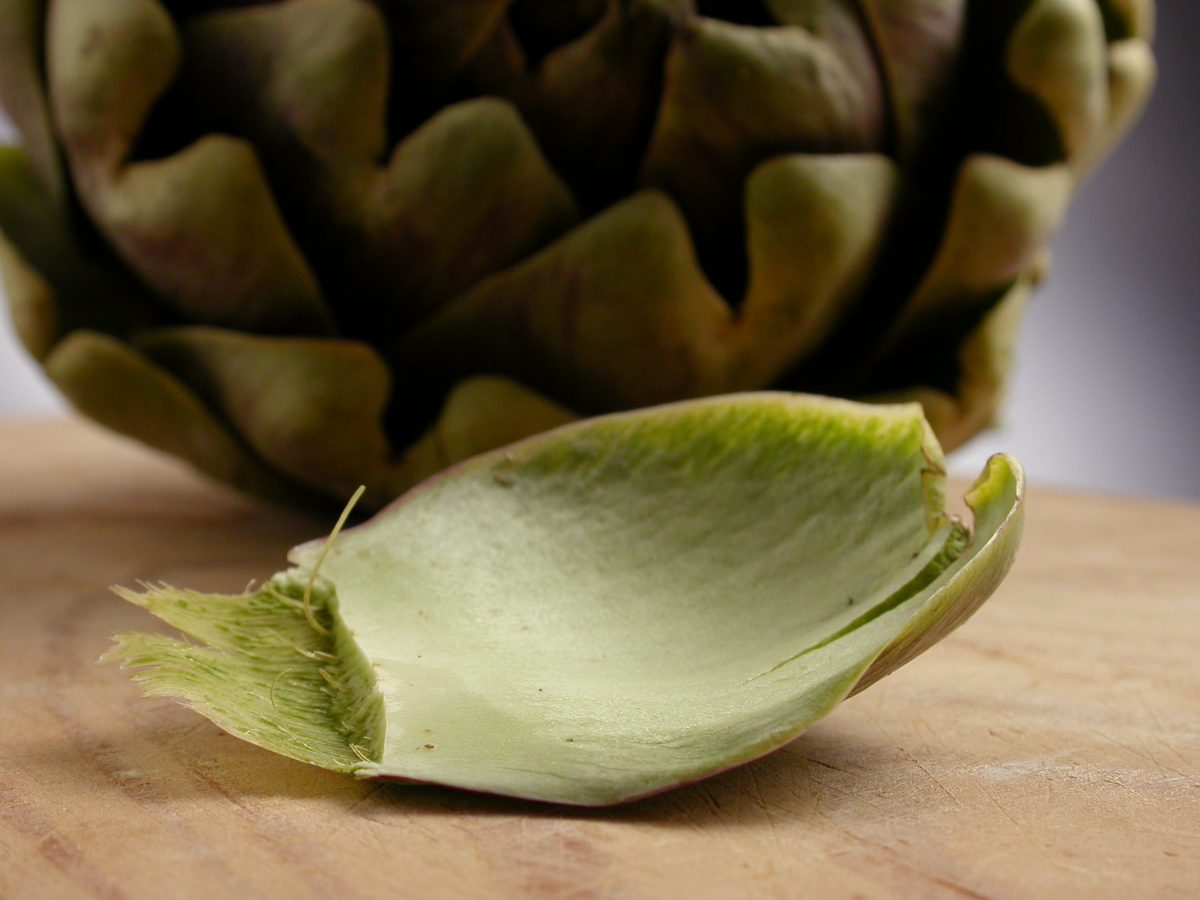 non getterai mai piu le AdobeStock 7169432