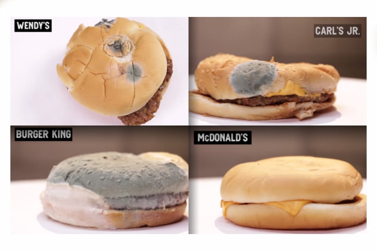 quanto dura un panino di panino mc donald dopo 20 anni