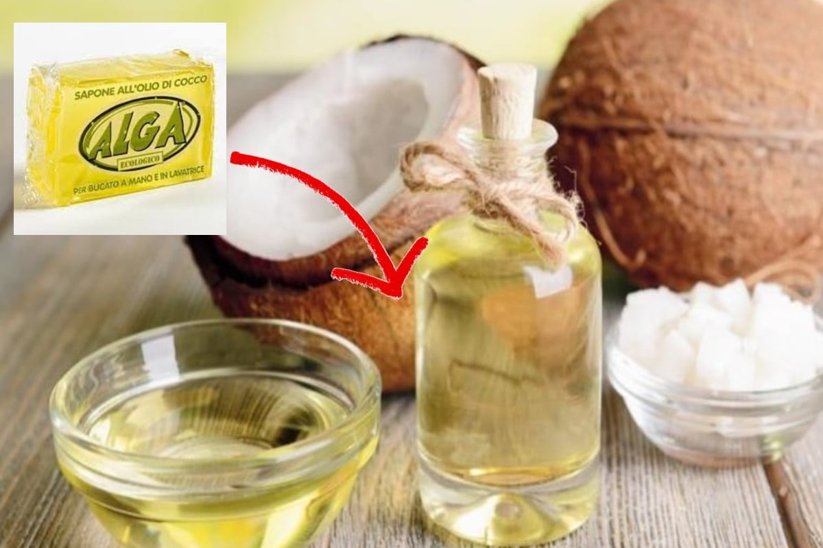 sapone con olio di cocco sapone allolio di cocco