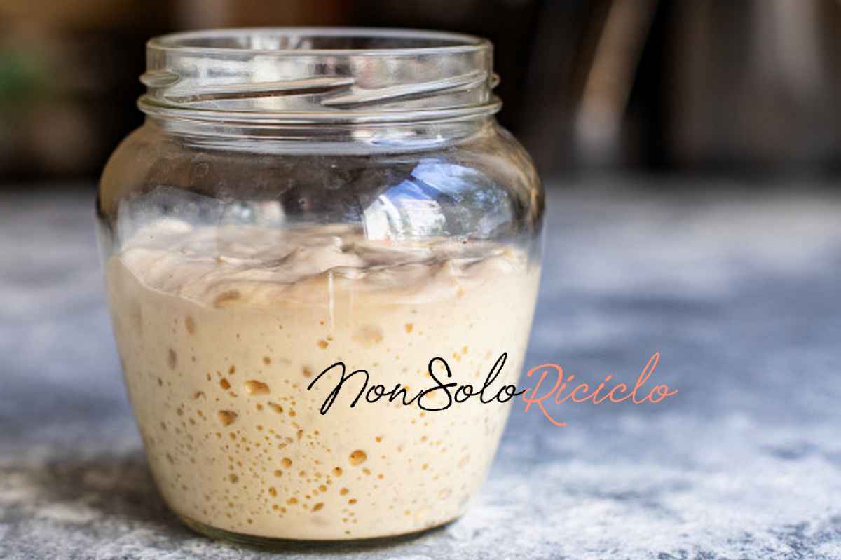 scopri i segreti della pasta dough starter yeast raw baking natural product 88242 5241