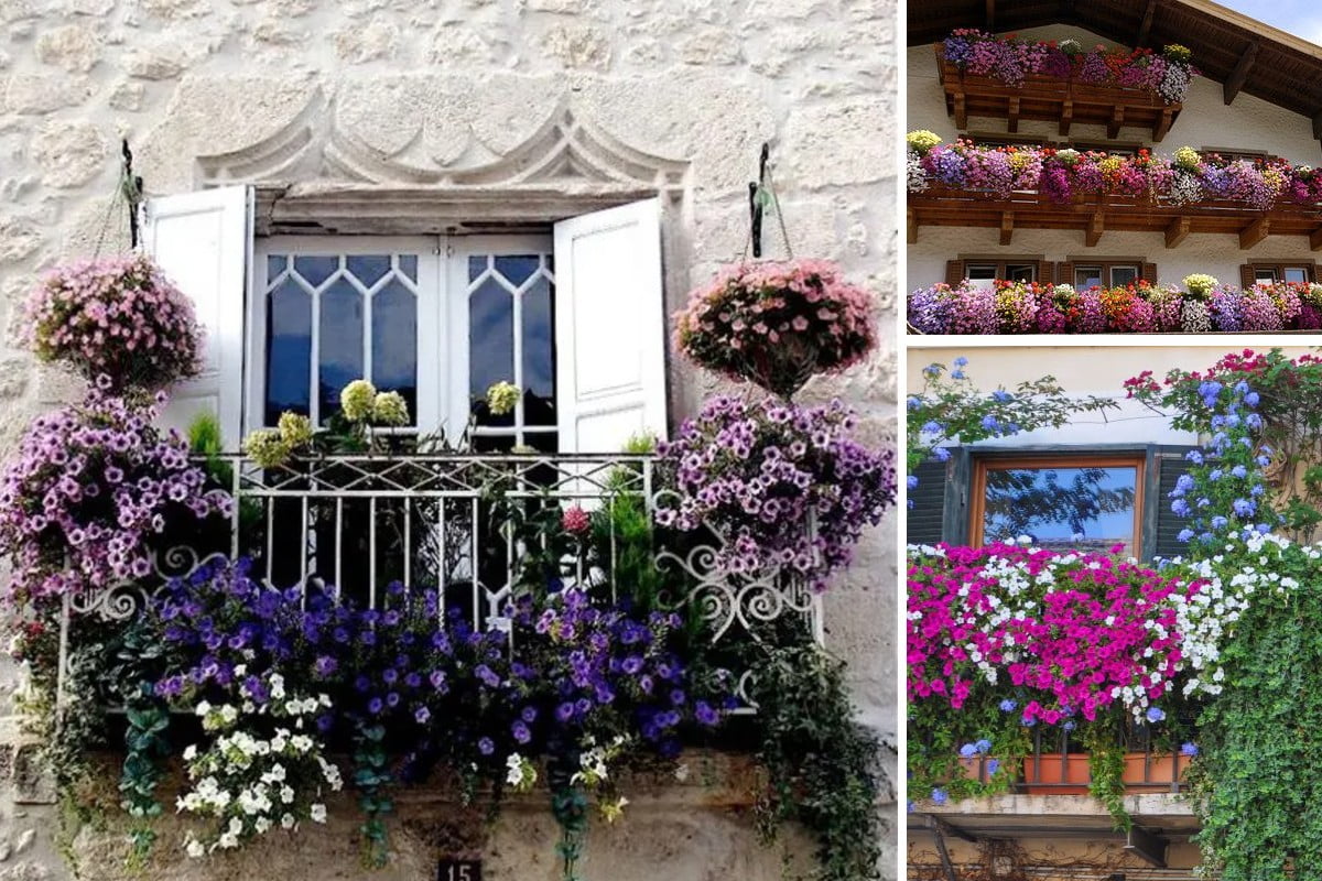 abbellire il balcone di casa balconi fioriti