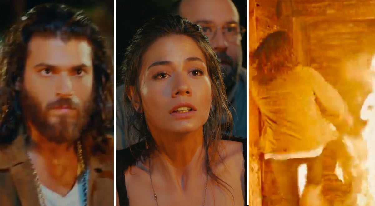 daydreamer anticipazioni