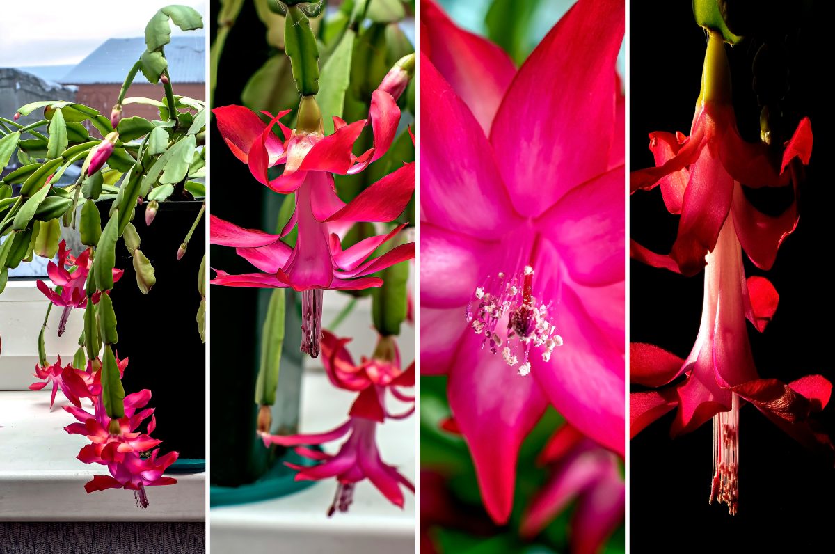 i trucchi piu efficaci per AdobeStock 412632244