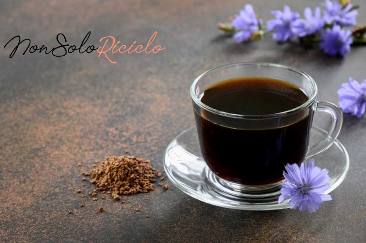 il caffe alla cicoria il healthy chicory drink glass cup decorated chicory flowers 91908 4613