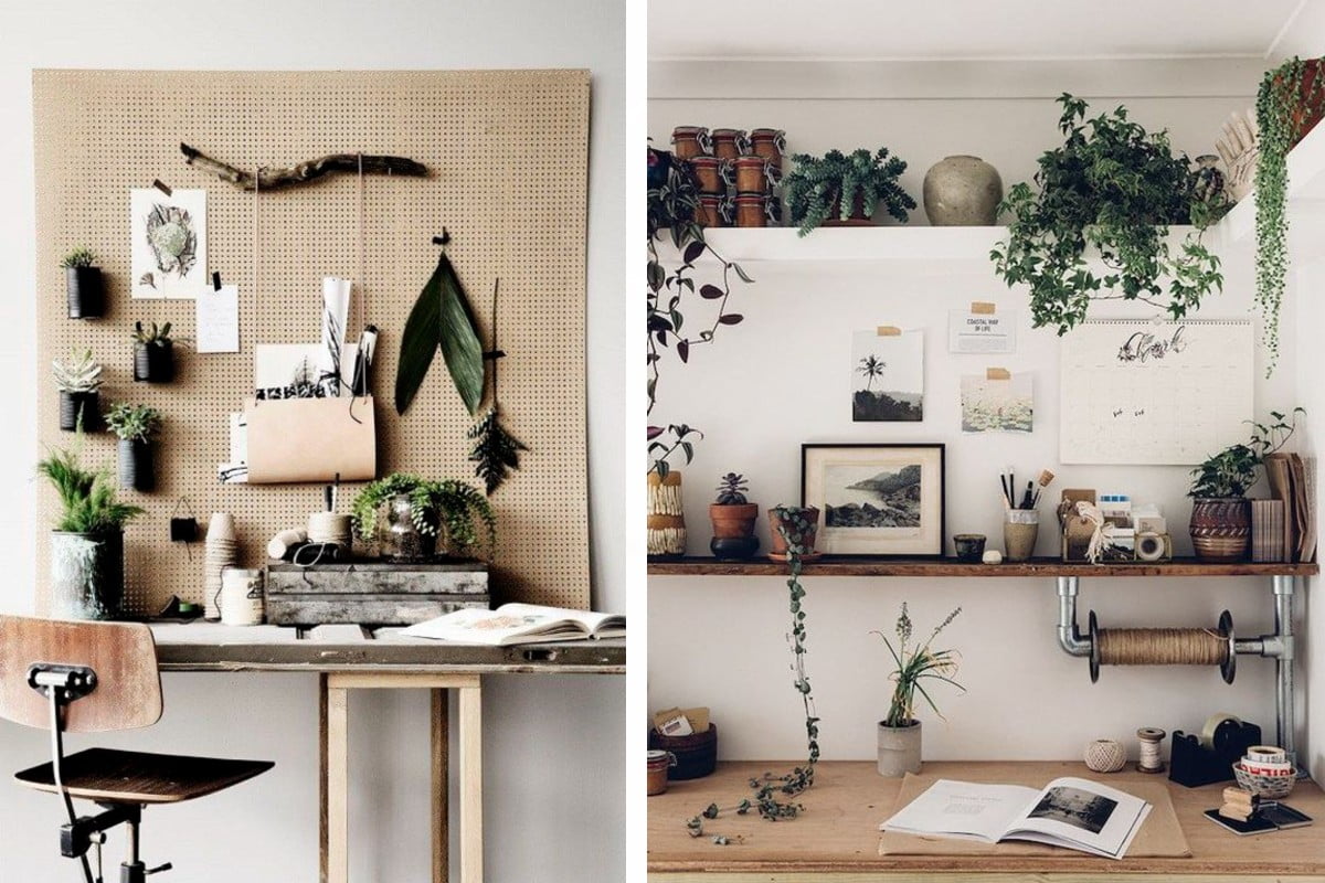 sistemare le piante in ufficio piante ufficio