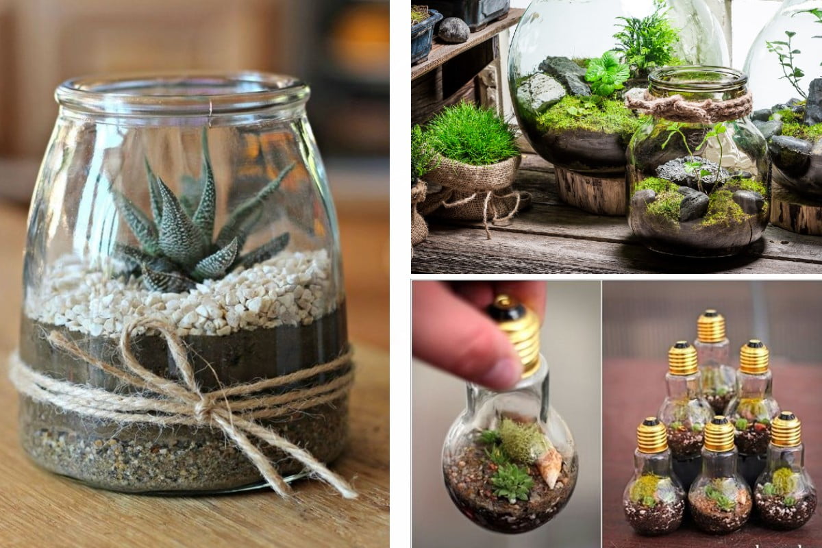 terrario in miniatura originali e terrario in miniatura