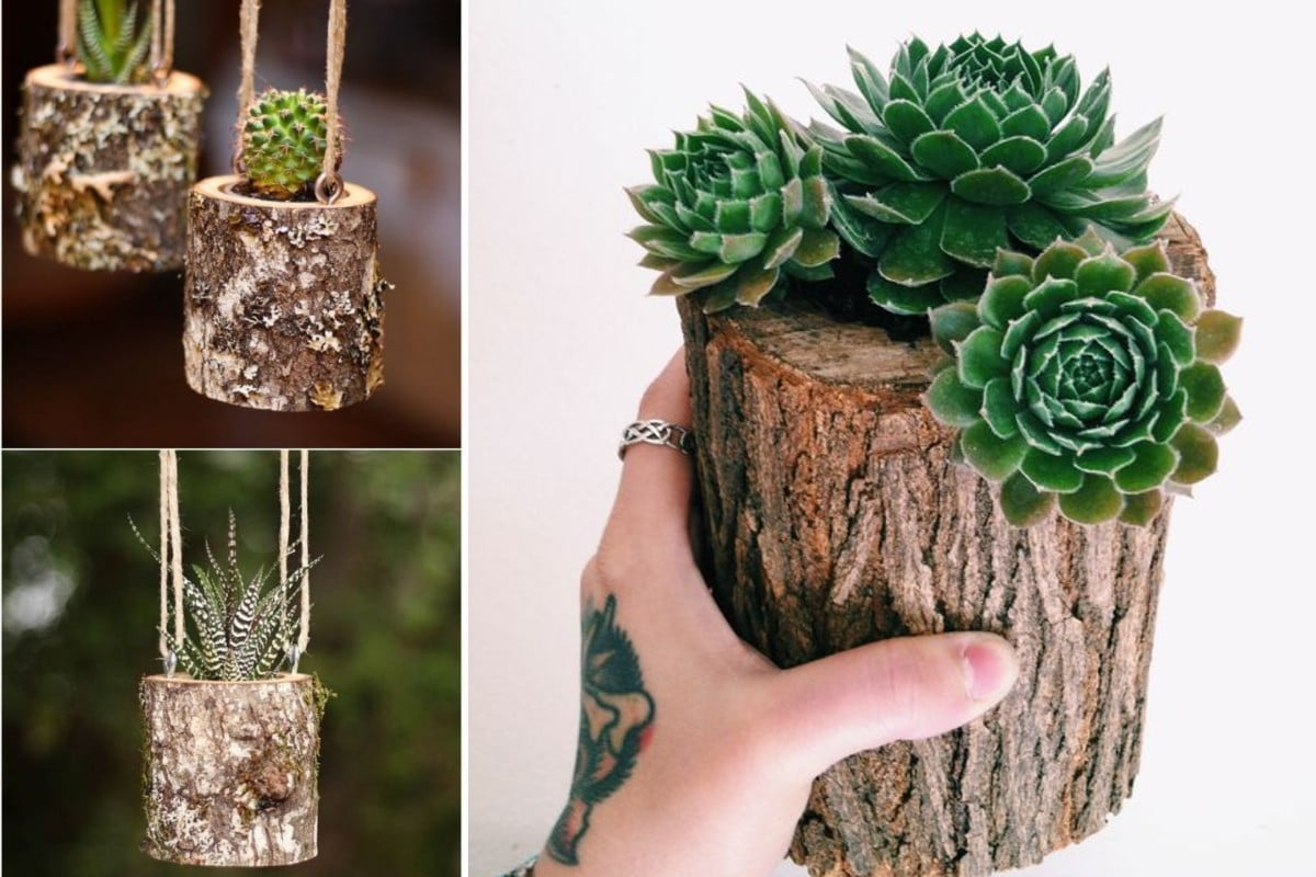 trasformare un tronchetto in vaso trasformare un tronchetto in un vaso