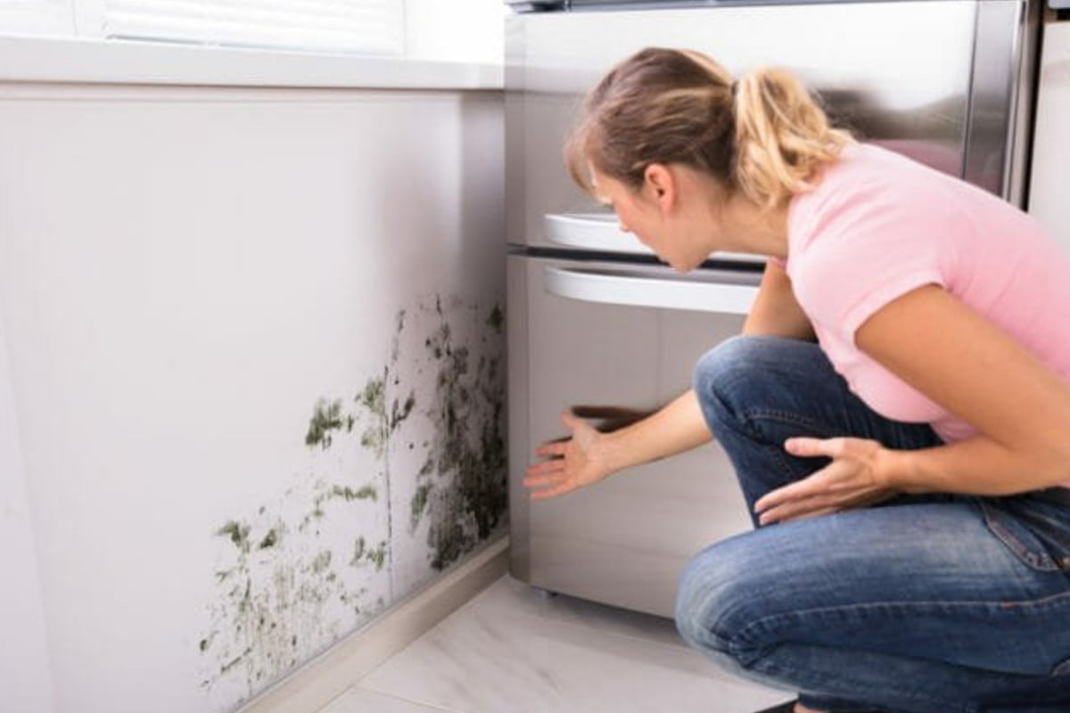 trucchi efficaci ed infallibili per umidita in una stanza