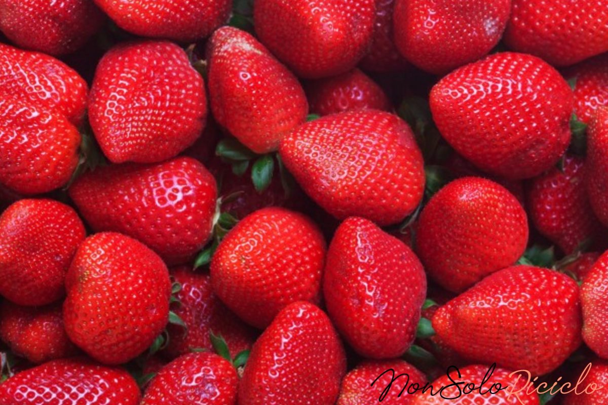 3 consigli imperdibili per un 1