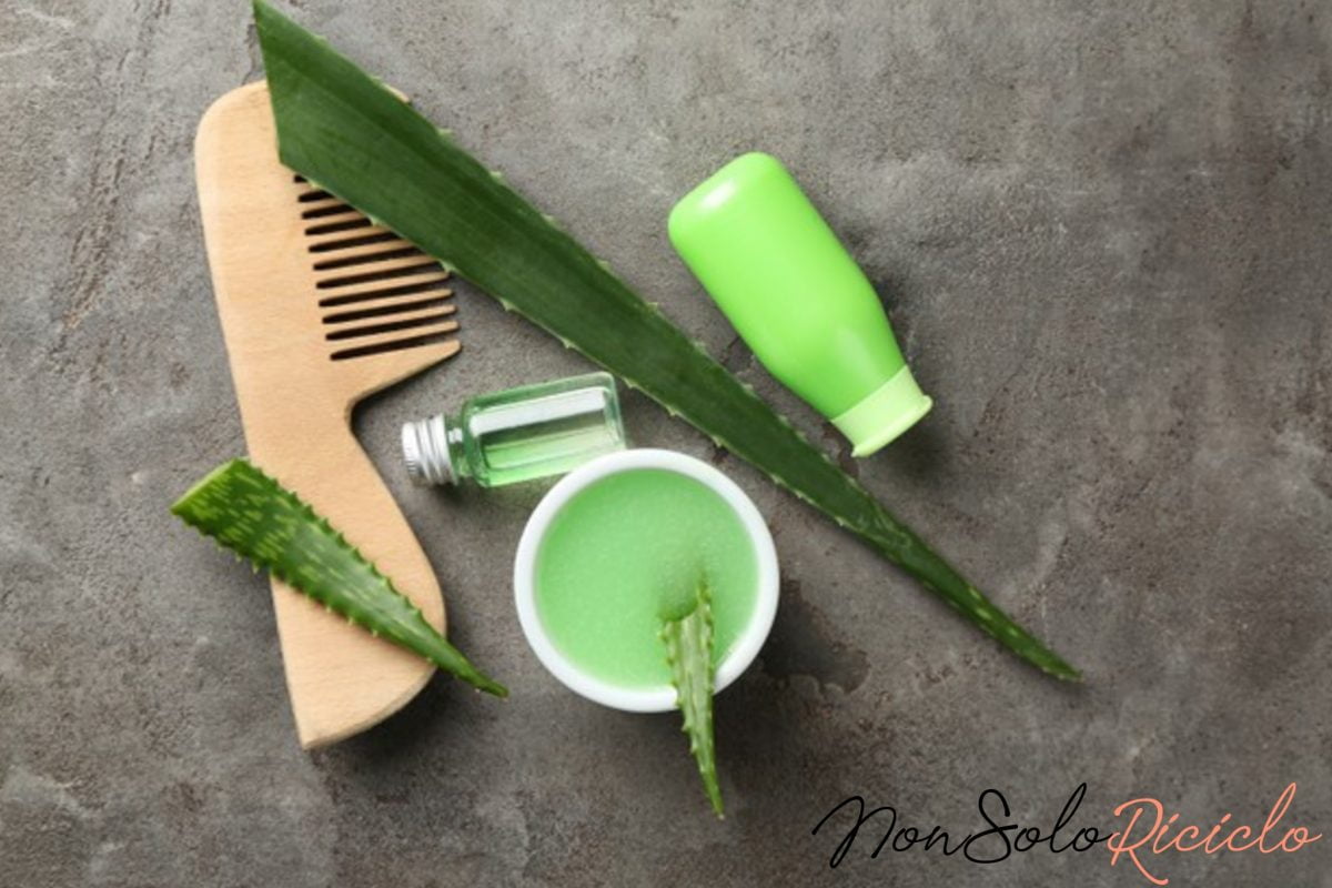 allaloe vera la maschera fai 1