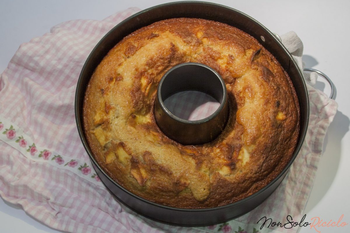 ciambellone mele e frutta secca 2