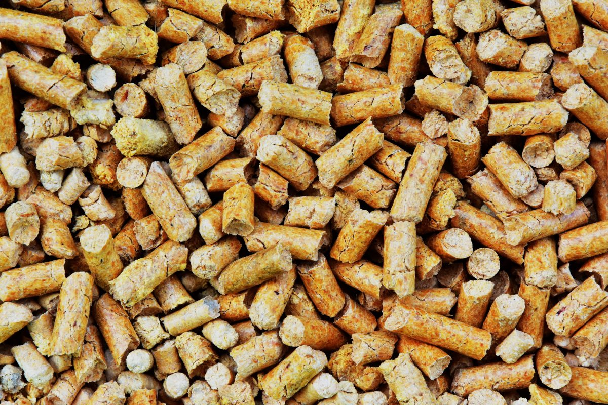 come riciclare cenere del pellet AdobeStock 215074949