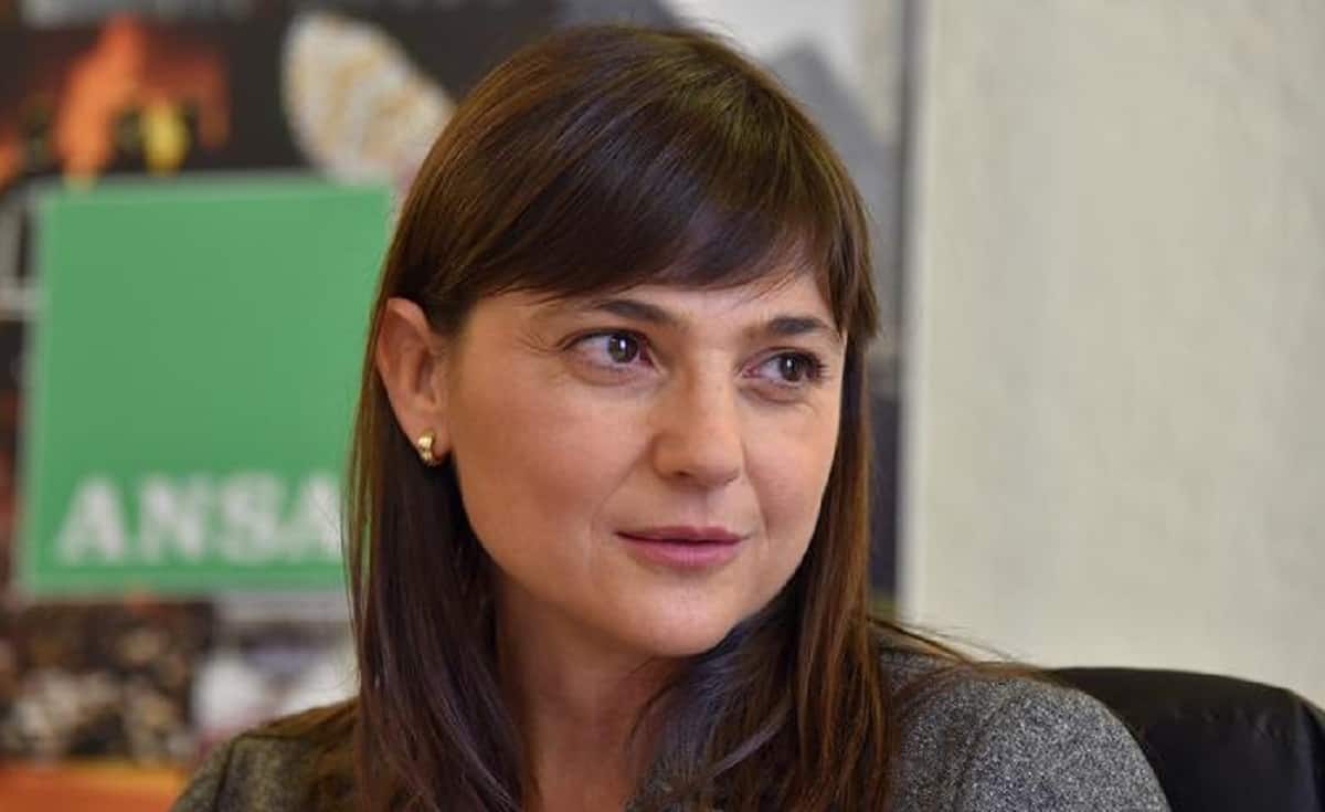 debora serracchiani vita privata biografia debora serracchiani ansa