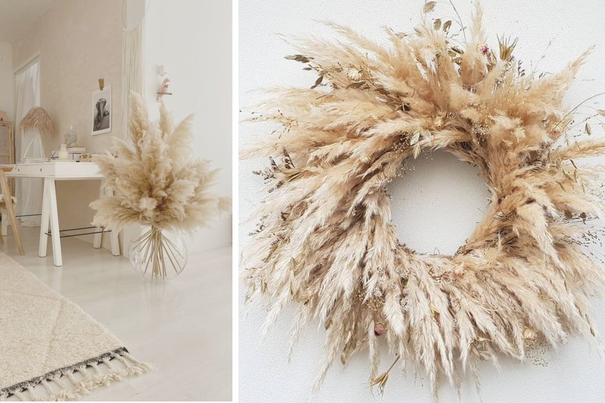 decorare casa con pampas grass decorazioni fai da te