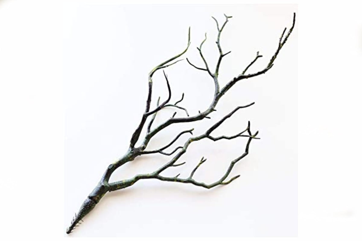 decorazione con rami per la decorazioni con rami secchi