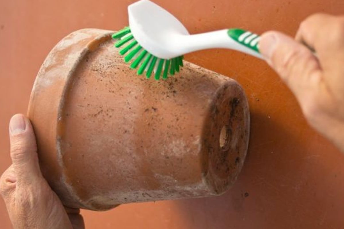 dipingere vasi di terracotta ecco vasi di coccio 1