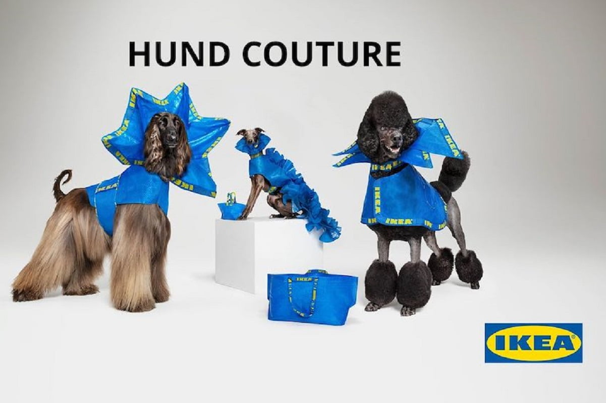 ikea rilascia i manuali per cappottini per cani ikea