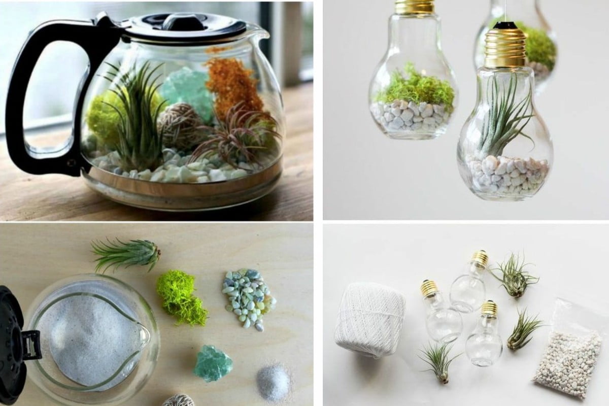 mini giardino in casa perfetti mini giardino