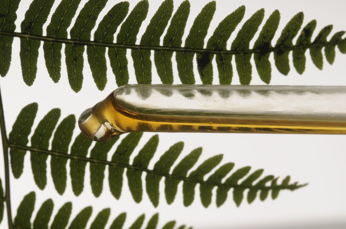 piante profumate da avere in AdobeStock 20020289