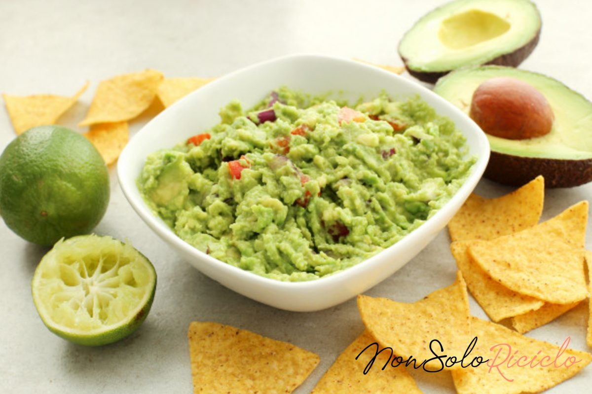 salsa guacamole messicana ha solo 33