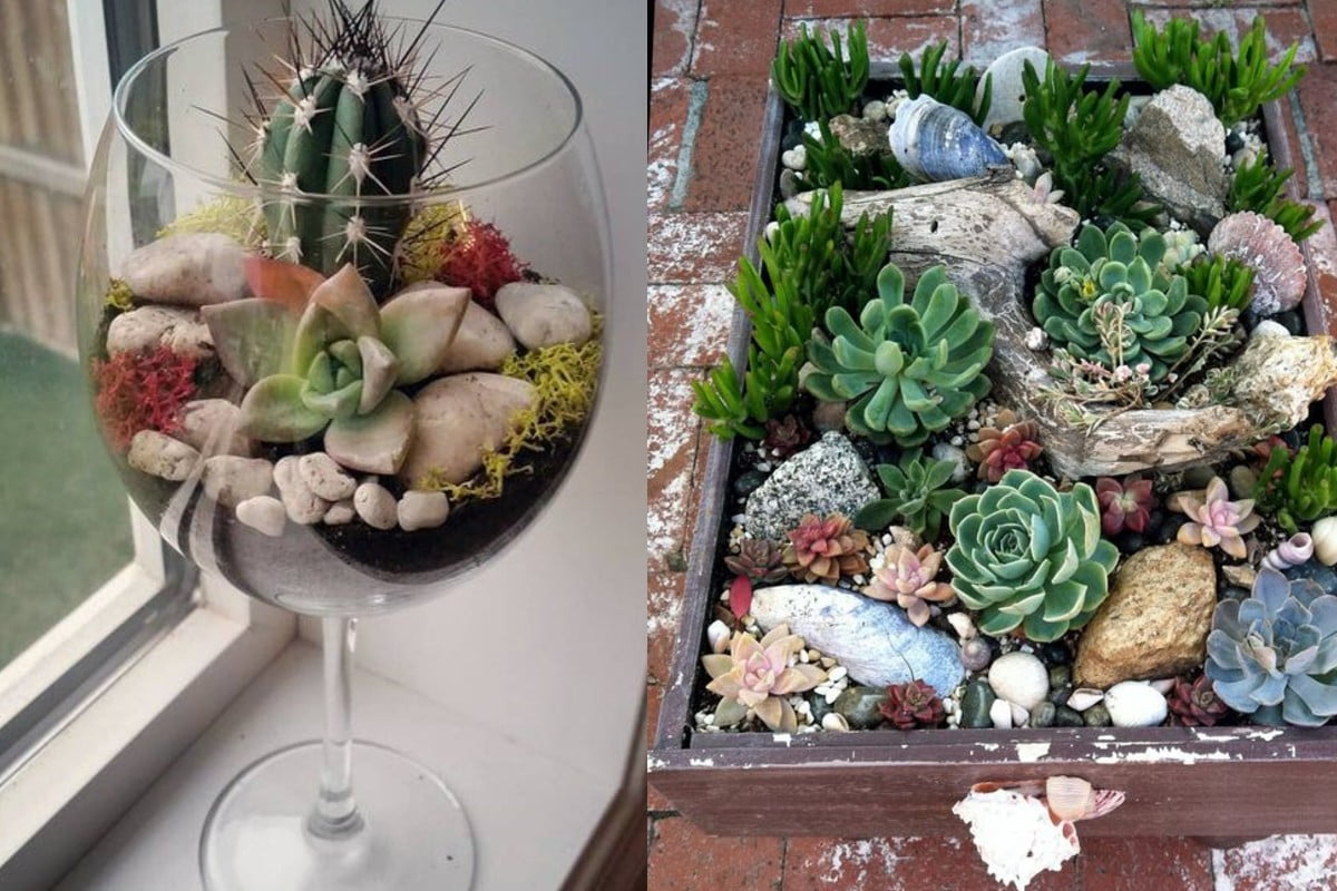 terrario fai da te con terrario fai da te