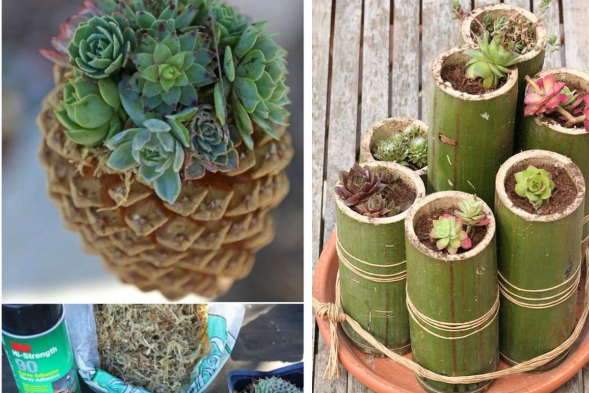 vasi naturali ed ecosostenibili idee vasi a costo 0 eco