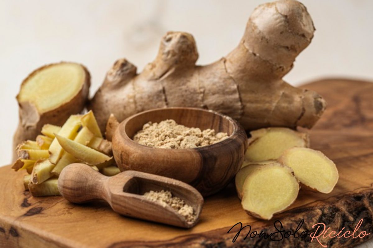 zenzero sempre fresco e a 4