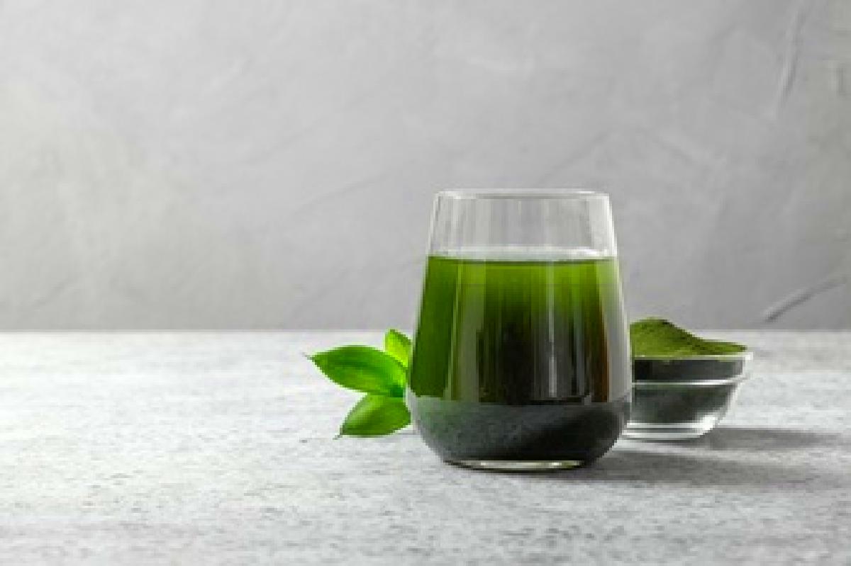 clorofilla scopri i suoi molti chlorella healthy detox drink glass powder bowl grey space 91908 3752