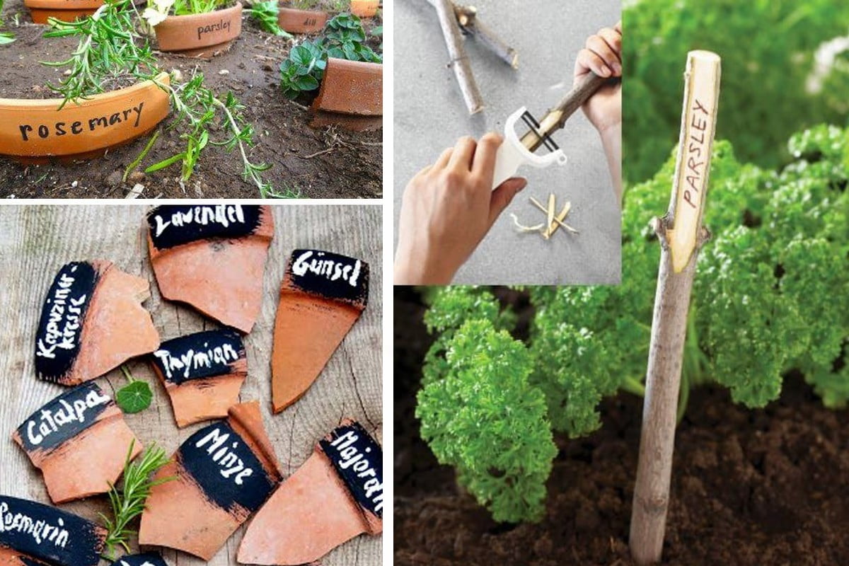 etichette per lorto realizzate grazie etichette per lorto