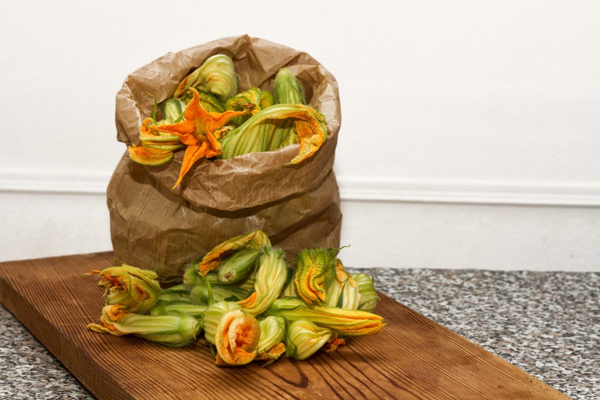fiori di zucchine ripieni la AdobeStock 171721040