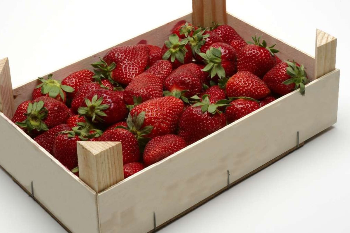 guarda cosa creo con le cassette fragole