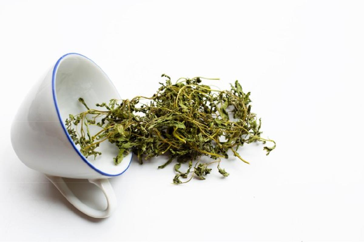 la stevia un dolcificante naturale dried stevia leaves white 51524 11777