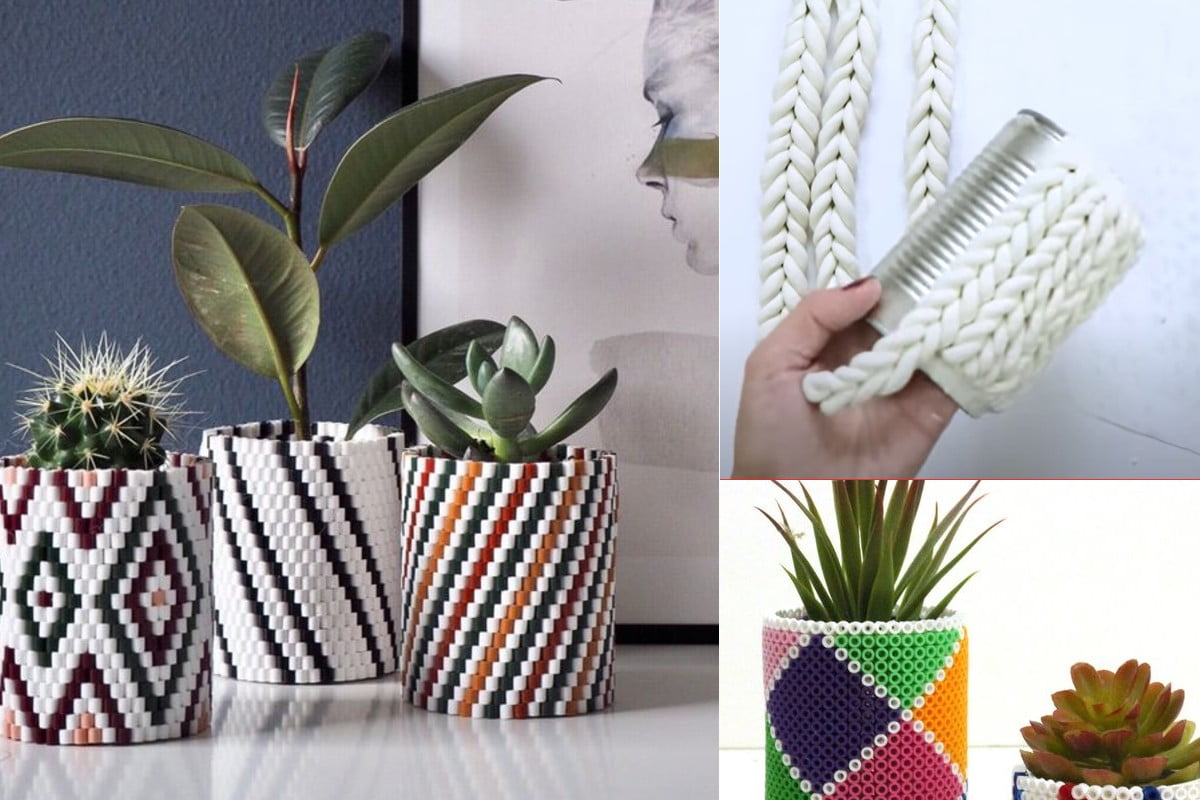 lavoretti creativi con piantine grasse decorare con piantine grasse