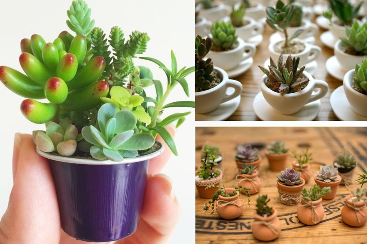 mini vasi per il comodino mini vasi fai da te 1