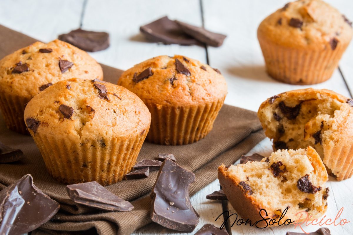 muffin con pezzi di cioccolato 81