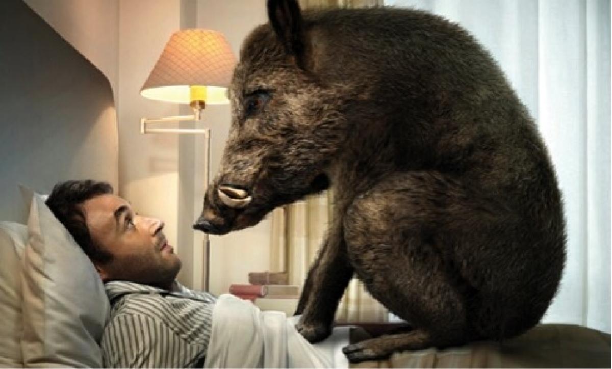 otto cibi da evitare la cena pesante cinghiale pancia