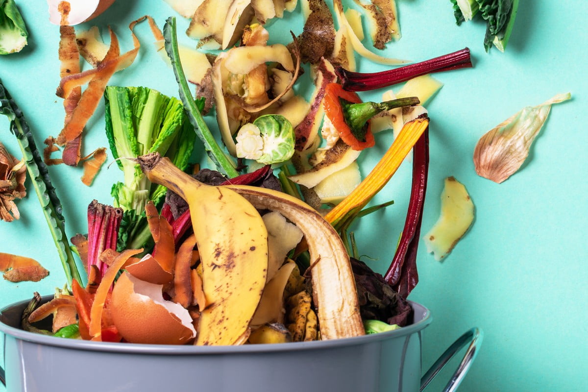 prepara questi straordinari fertilizzanti per fertilizzante fai da te