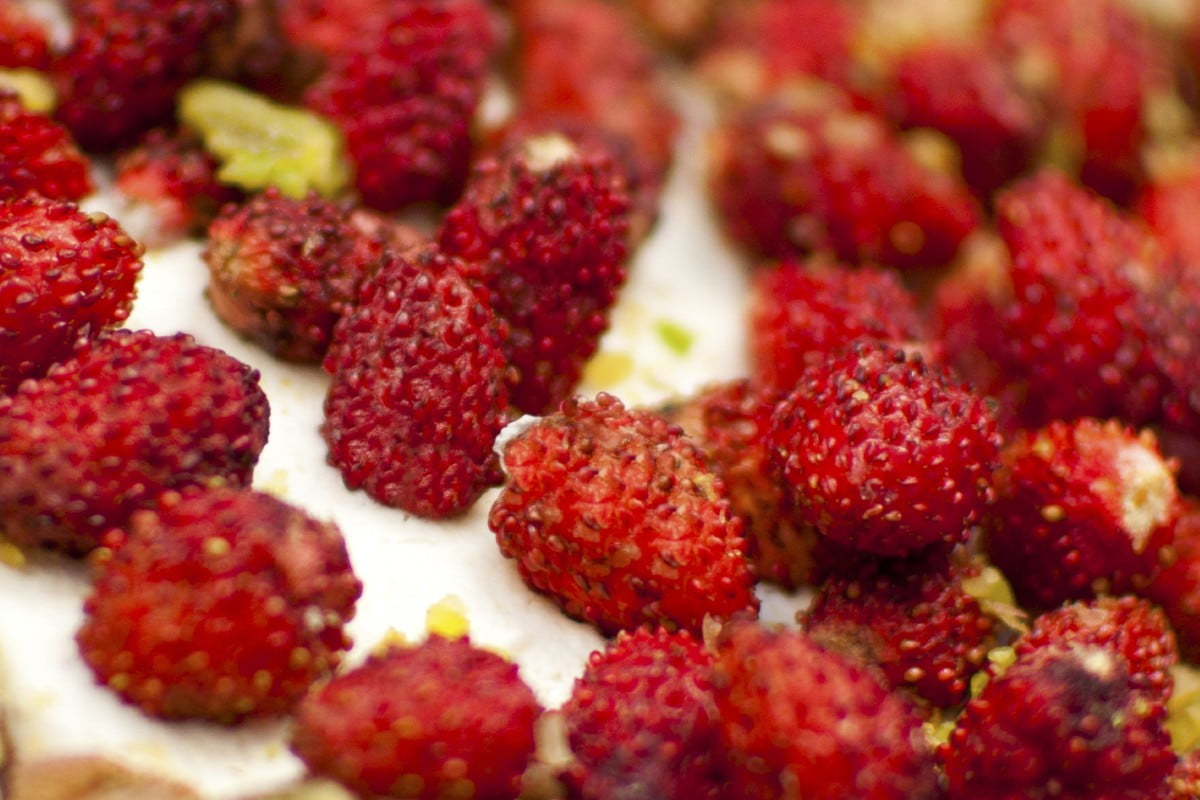 tiramisu ricotta e fragoline tiramisu ricotta e fragoline