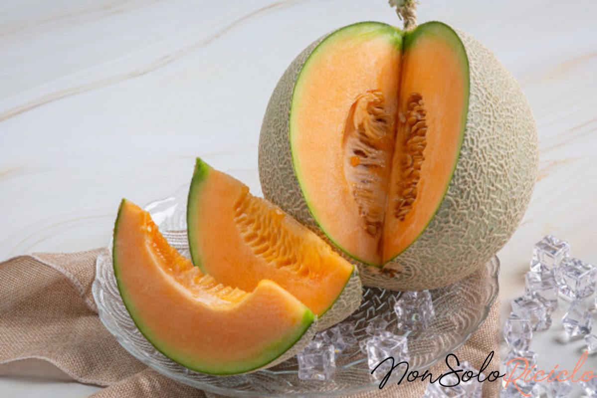 bozza automatica 1 2