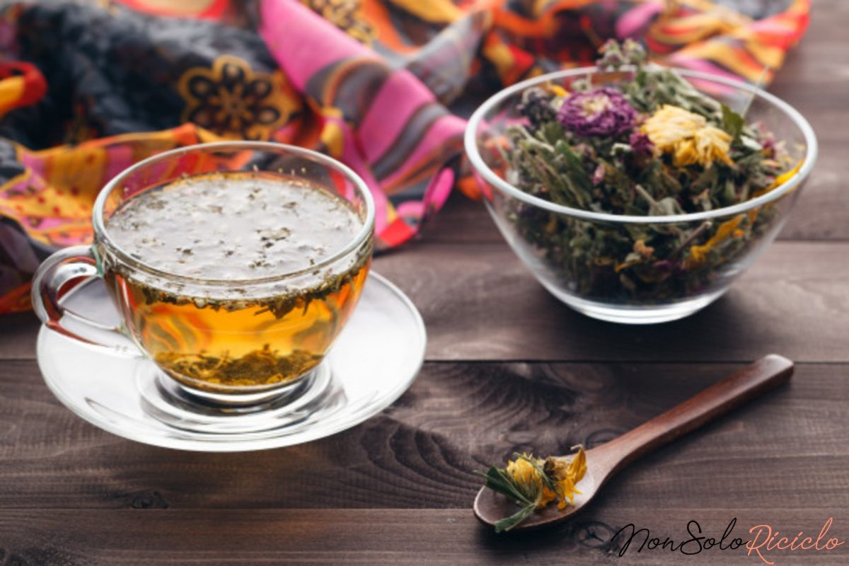 bozza automatica 2 1