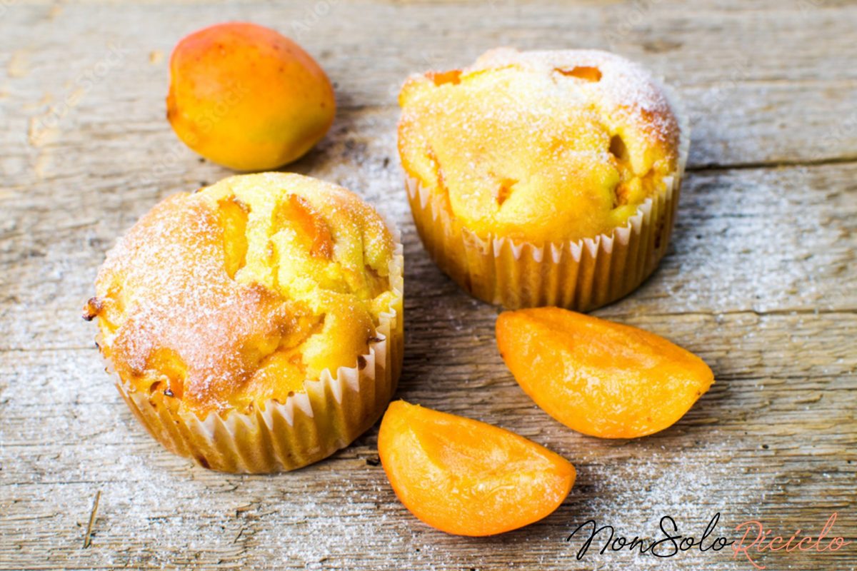 bozza automatica 6 3